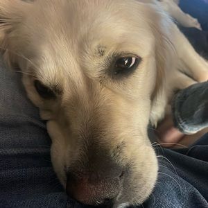 Meet your Posher, Edward